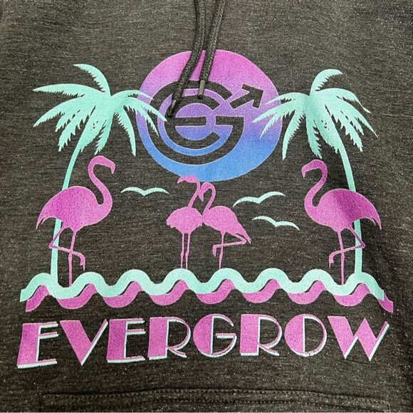 Lane Seven Evergrow Grey Hoodie Size Medium - Picture 3 of 9